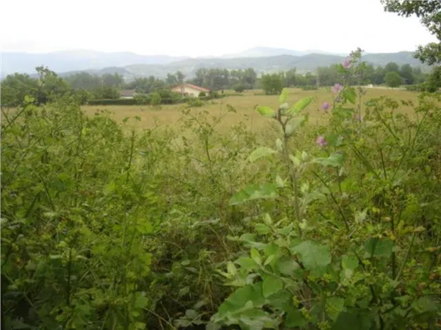 Venta de Terreno Urbano en Valle de Mena. - foto 3