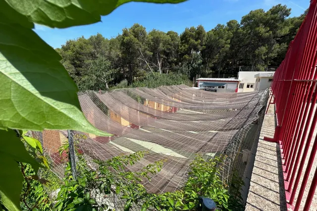 PARCELA EN VENTA EN EL VEDAT - foto 4