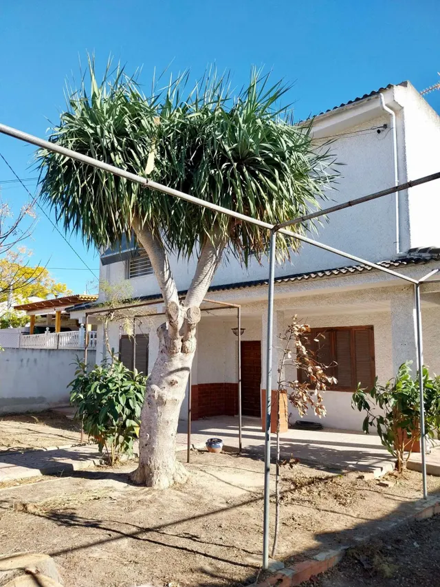 Vivienda con amplia parcela en Costabella — 27