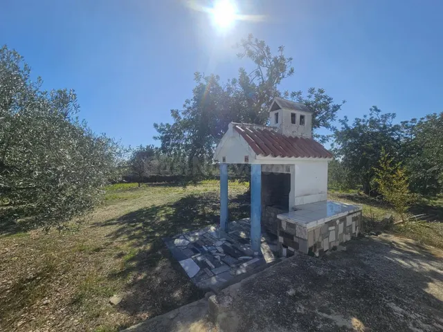 FINCA RUSTICA CERCA DE LA RAPITA ! - foto 4