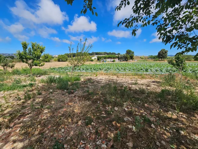 Terreno agricola en venta en Malgrat de Mar — 17