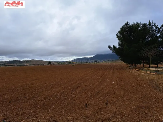 VENTA CASA CON TERRENO EN HONDON DE LAS NIEVES — 4