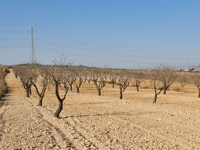 Parcela 400m² en venta - Jumilla
