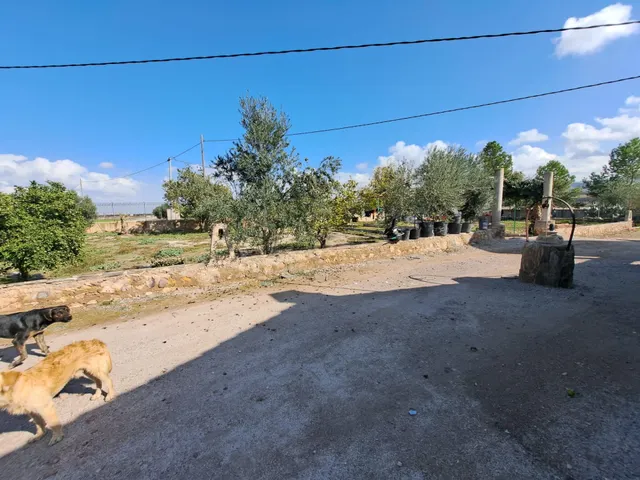 FINCA RURAL CON 4 VIVIENDAS Y NAVE — 38