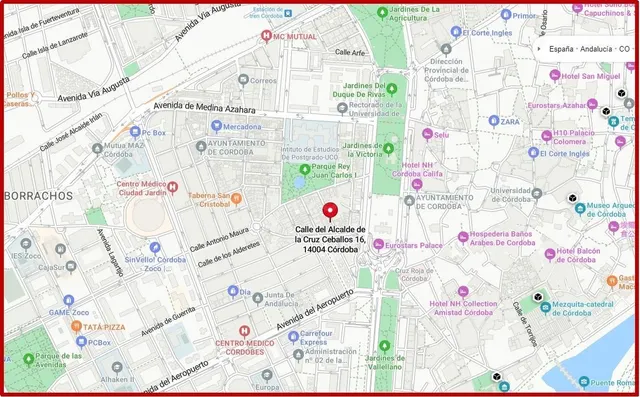 Local comercial 202m² en venta - Ciudad Jardín - foto 5