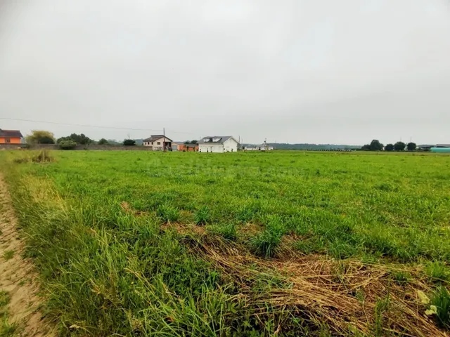 Parcela urbana edificable en Brul (Castropol) – 1.367 m2 – i - foto 5
