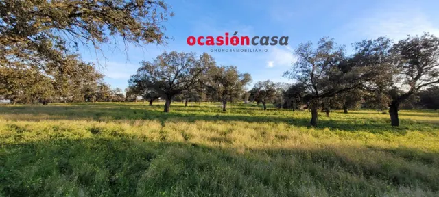 ENCINAR CON NAVE EN VENTA - foto 2