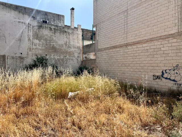 Solar en Sa Pobla — 8