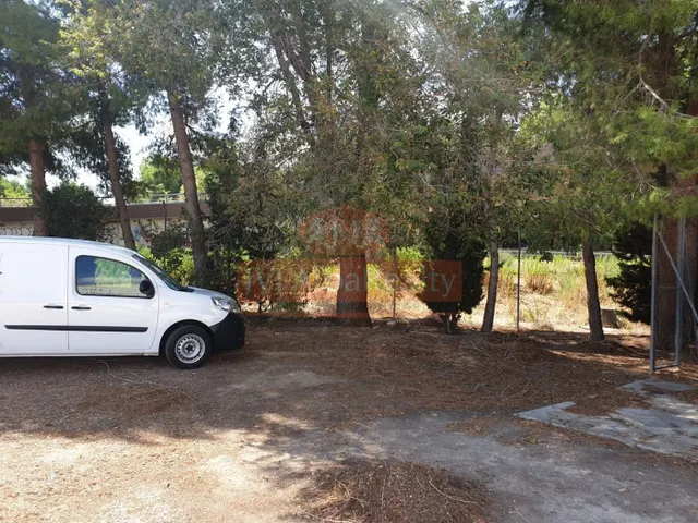 Se vende terreno en la carretera de Ayora con dos naves — 33