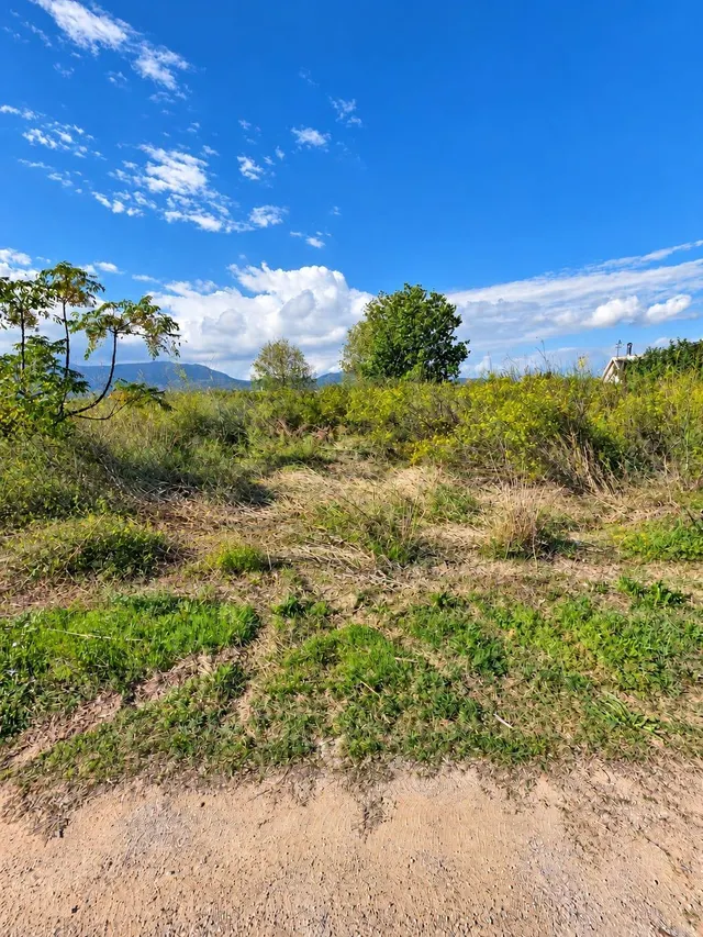 Finca rústica de 6.705 m2 en la zona de els ullals de baltasar, Amposta — 17