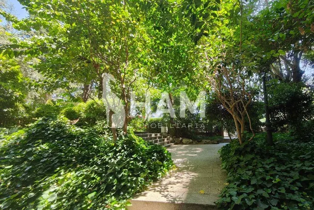 Local de 289 m2 en Padre Damián, Chamartín — 44