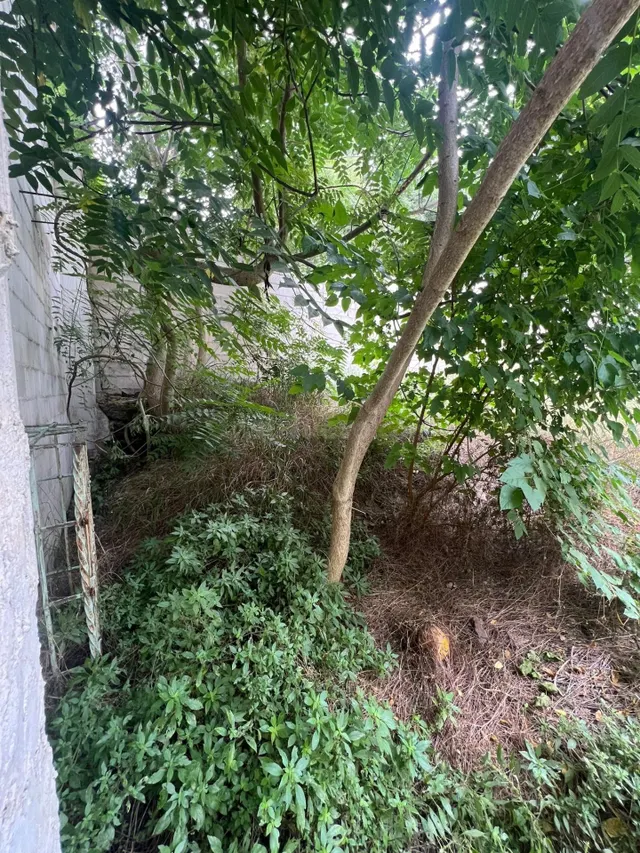 Terreno urbano 125m² en venta - La corredera - foto 3