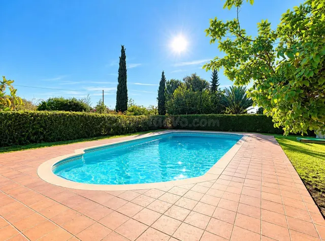 CHALET EXCLUSIVO EN ALZABARES ELCHE, CON PISCINA, ALTAS CALIDADES Y A SOLO 2 KM DEL HOSPITAL — 2