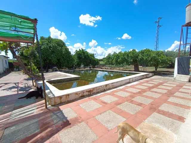 Parcela rustica con casa en las Quemadas¡¡¡¡¡¡ - foto 4