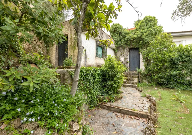 Chalet con gran parcela en Cogollos — 30