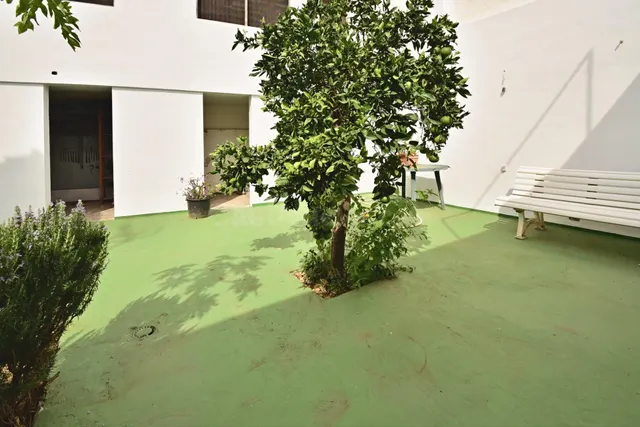 Excelente Casa Terrera en Pleno Centro - foto 3