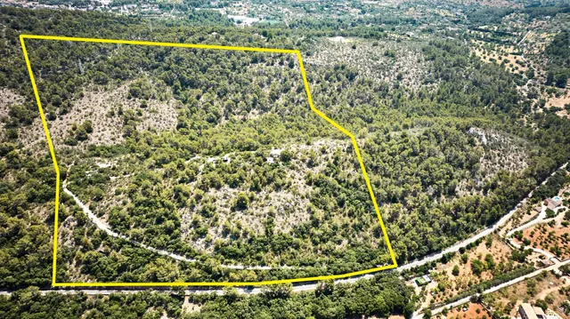 Finca única en plena naturaleza — 10