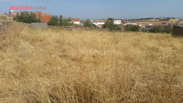 VENTA DE PARCELA EN PEDROCHE - foto 3