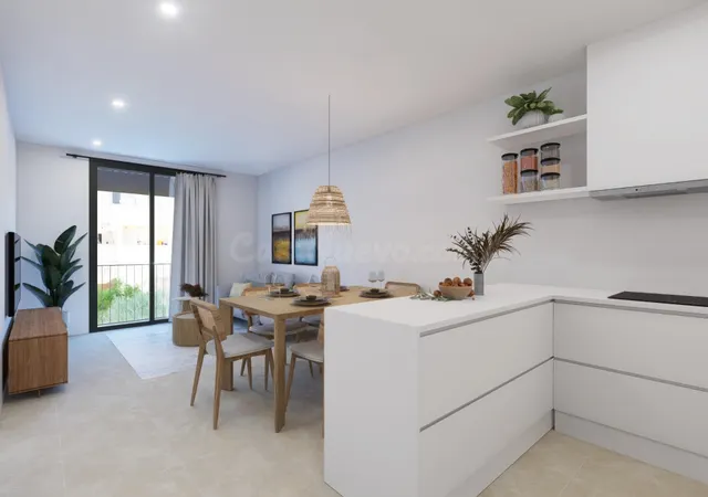 FABULOSA VIVIENDA EN SEGUNDA PLANTA DE OBRA NUEVA CON TERRAZ - foto 2