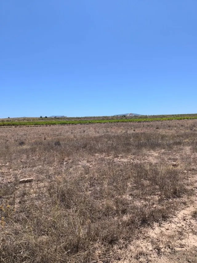 Venta de terreno en Pinoso - Comunidad Valenciana - foto 2