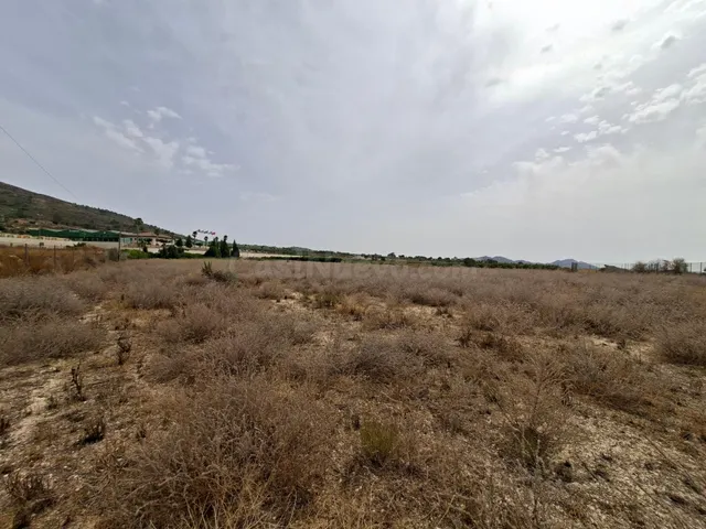 ¡¡ VENTA PARCELA EDIFICABLE 11371 m2 EN LA ROMANA !! - foto 3
