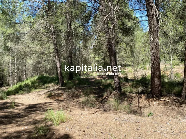 En Venta/Disponible: Finca Rústica en L'Olleria (Zona Barran - foto 5