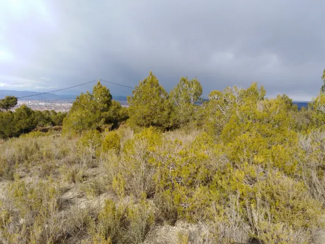 TERRENO EN VENTA EN RIVER PARK (EL PONT DE VILOMARA I ROCAFORT) — 3