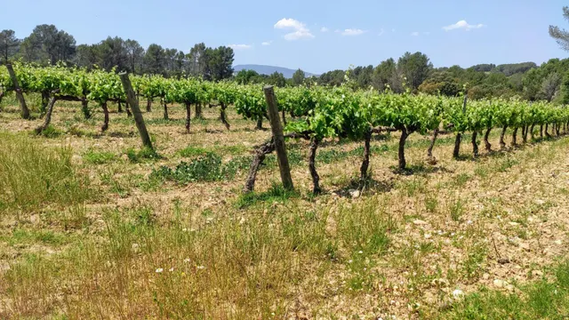 PROYECTO DE FINCA RÚSTICA — 21
