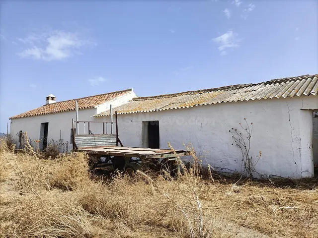 Finca Agrícola 800m² en venta - Riviera del sol — 3