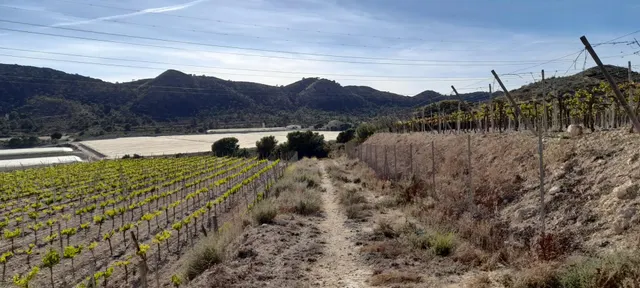 PARCELA 30.000 METROS DE TERRENO — 32