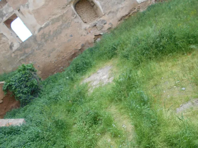 Se vende terreno en San Miguel - foto 5