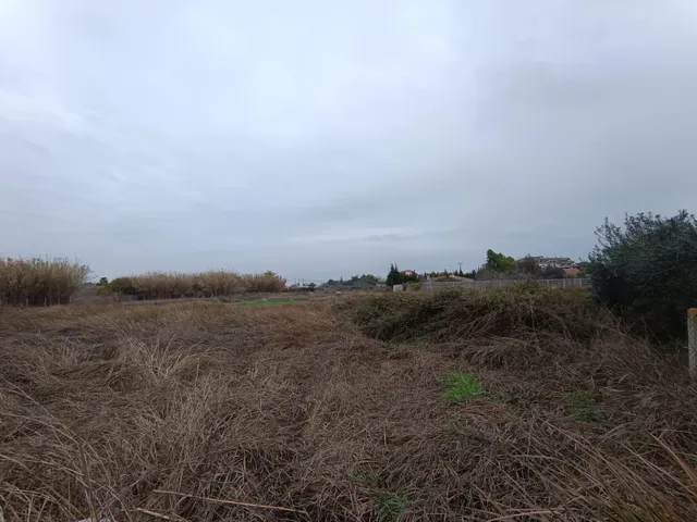 ++Terreno rural en Molina de Segura zona Santa Rita++ 2.200 m. superficie parcela, — 3