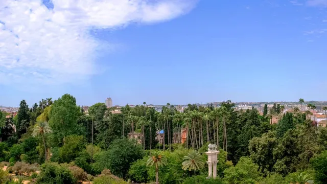 Espectacular activo patrimonial en venta: 5ª planta con vistas a los Jardines de Murillo y la Giralda. — 23