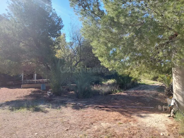 Se vende parcela con casa cueva - foto 5
