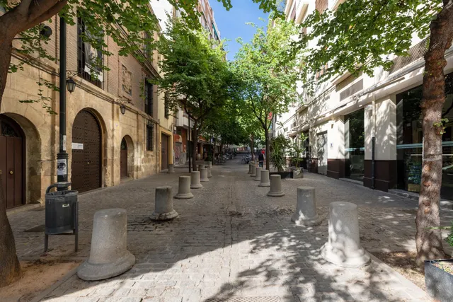 LOCAL VENTA JUNTO AVDA.CONSTITUCION GRANADA — 21