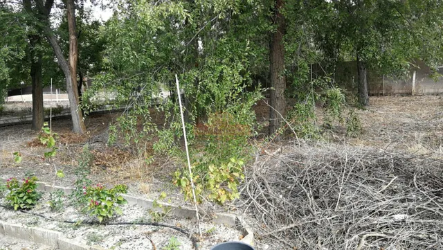 SE VENDE CASA CON TERRENO DE MÁS DE 3000 MTS EN LA URB. OJOS DE SAN JORGE JUNTO A LOS PRADOS — 49