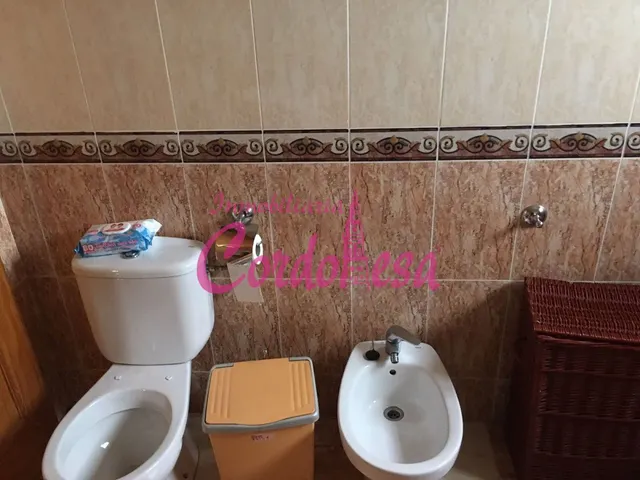 MAGNIFICA CASA EN ALCOLEA. — 26