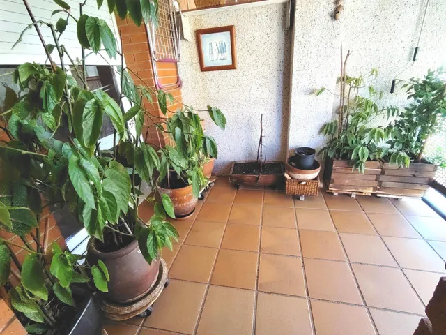 Piso muy luminoso con salida balcón — 16