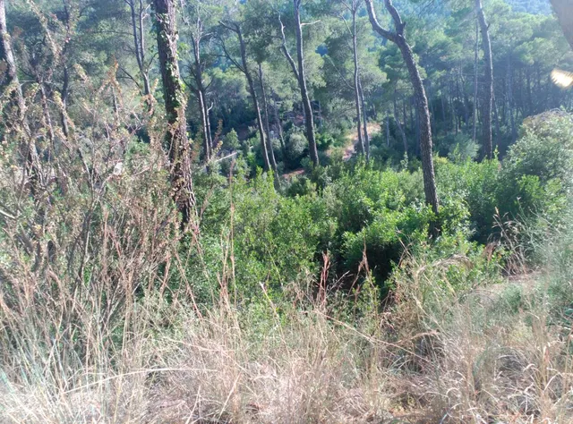 Espectacular terreno que da a dos calles, en Corbera de Llobregat, cerca Hotel Can Fisa. — 34