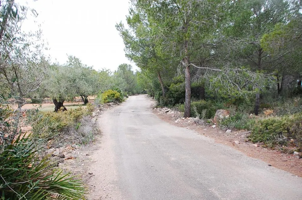 Finca rústica en venta - Afueras del pueblo