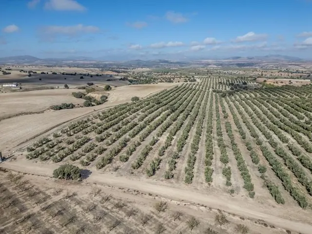 IMPRESIONANTE OPORTUNIDAD DE INVERSIÓN EN ALAMEDILLA!! — 10
