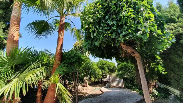 Finca rústica 11 habitaciones 376m² en venta - Costa del Sol — 34