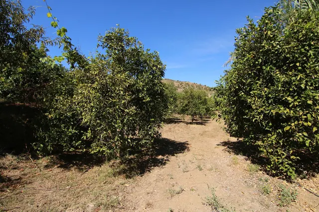 Finca rústica 2 habitaciones 62m² en venta - South of spain — 6