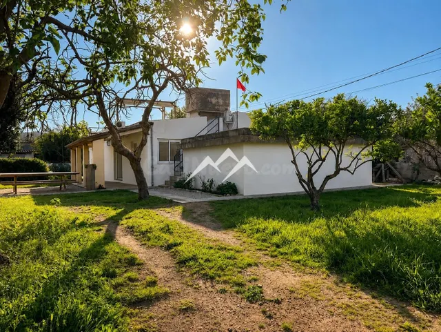 Finca rústica en Esporles con vivienda, amplios anexos y vis - foto 3