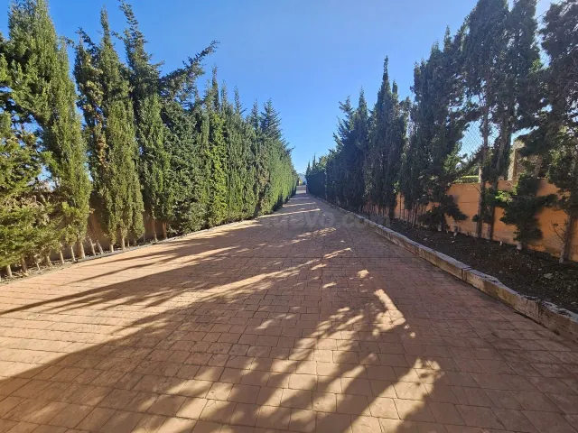Villa 5 habitaciones 800m² en venta - La Manga Club-Atamaría - foto 3