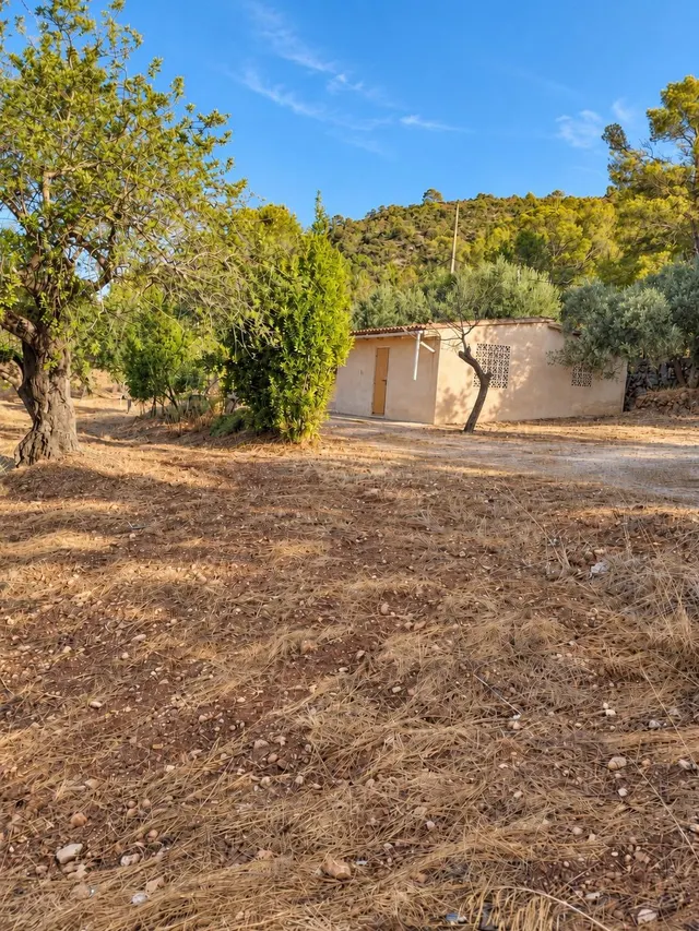Finca rústica en Bunyola con caseta de aperos y más de 13.00 - foto 3