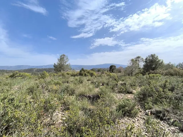 Parcela 999m² en venta - Ayuntamiento — 8