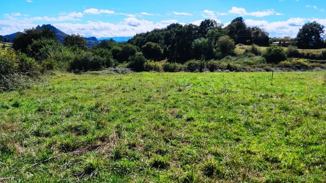 Construye tu hogar en el corazón de la naturaleza — 16