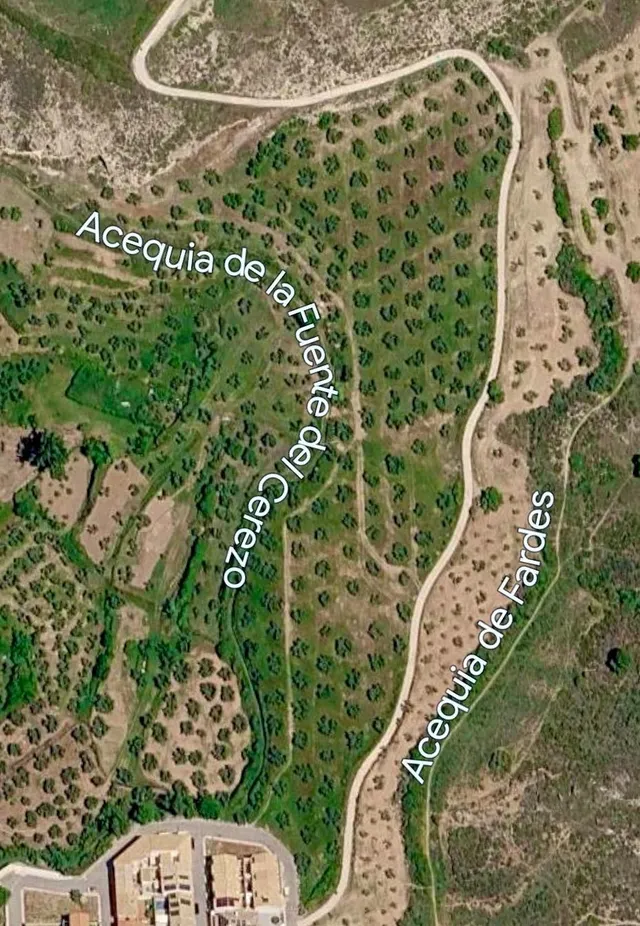 NIVAR - FINCA DE OLIVOS — 29