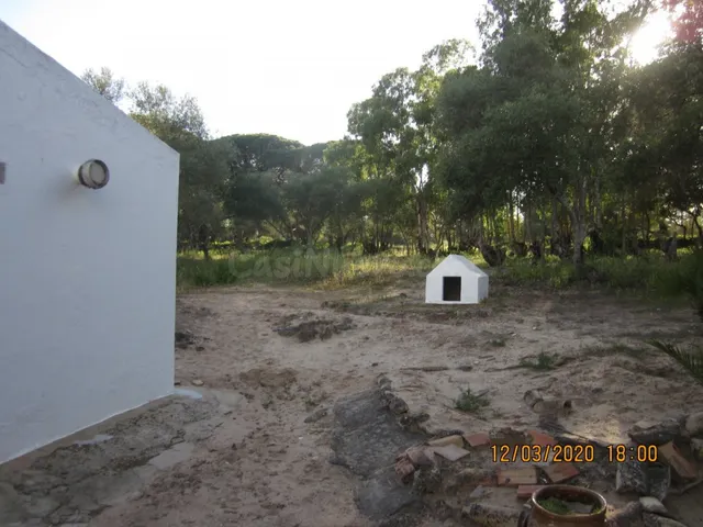 ESTUPENDA CASA EN TERRENO PRÓXIMA A VEJER DE LA FRONTERA - foto 4